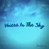 ManyFaces - Voices In the Sky - Single
